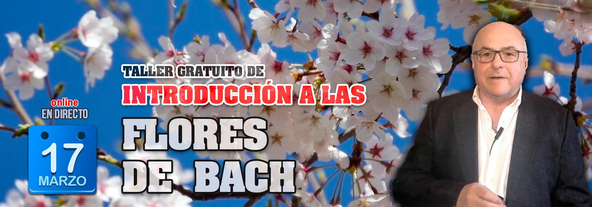Introducción a las Flores de Bach: Taller gratuito online