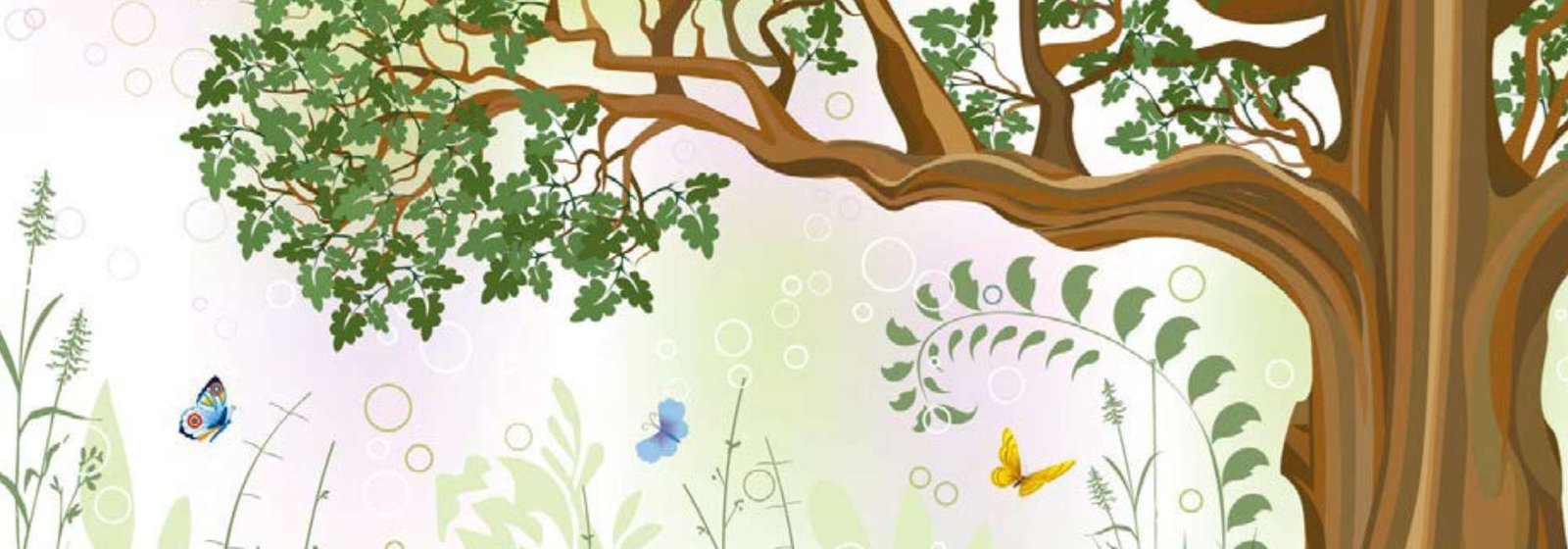 La generosità di Oak