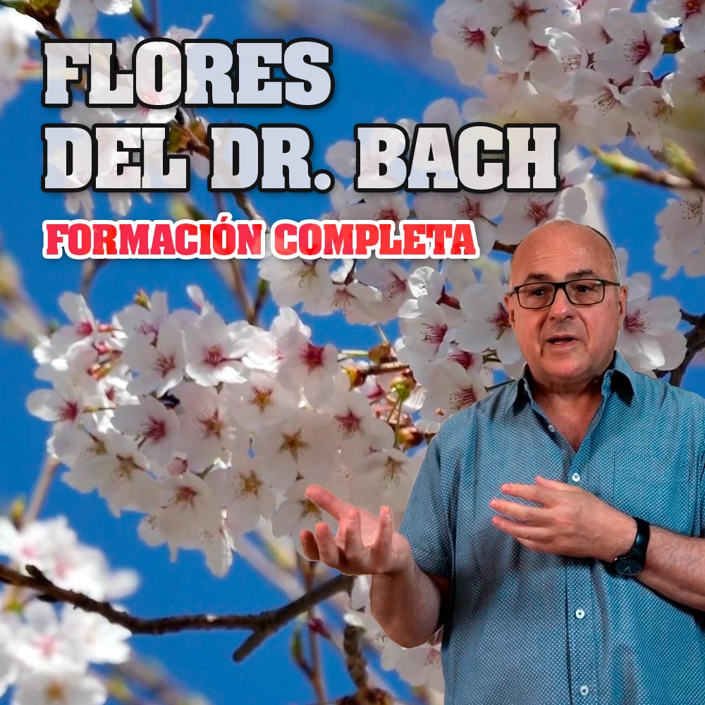 Formación completa en Flores del Dr. Bach